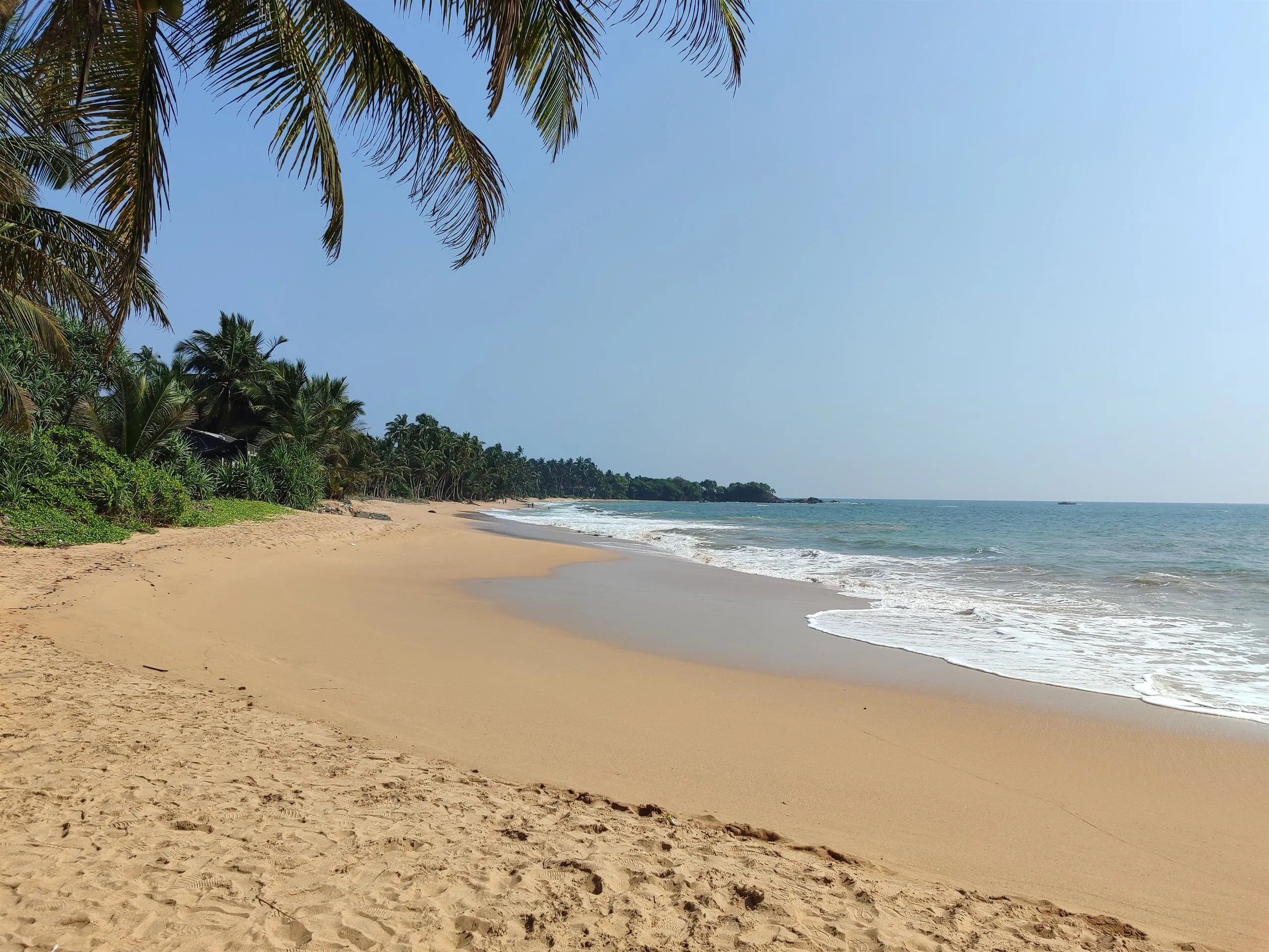 Palm-lined sand and calm sea on the west coast